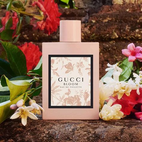 now smell this gucci bloom|where to buy gucci bloom.